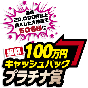 総額100万円キャッシュバック