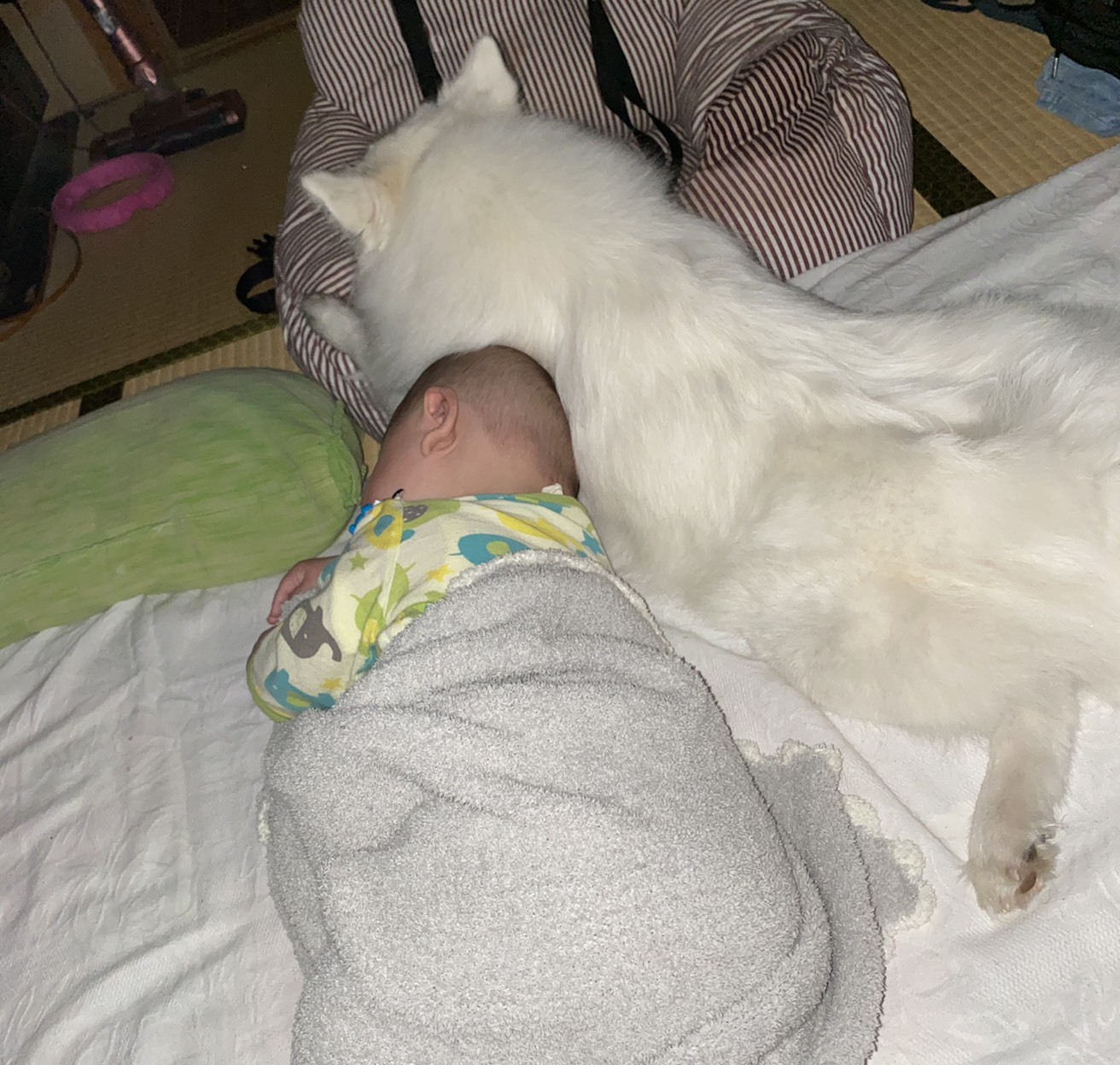 小林彩乃選手blog_vol.7_1