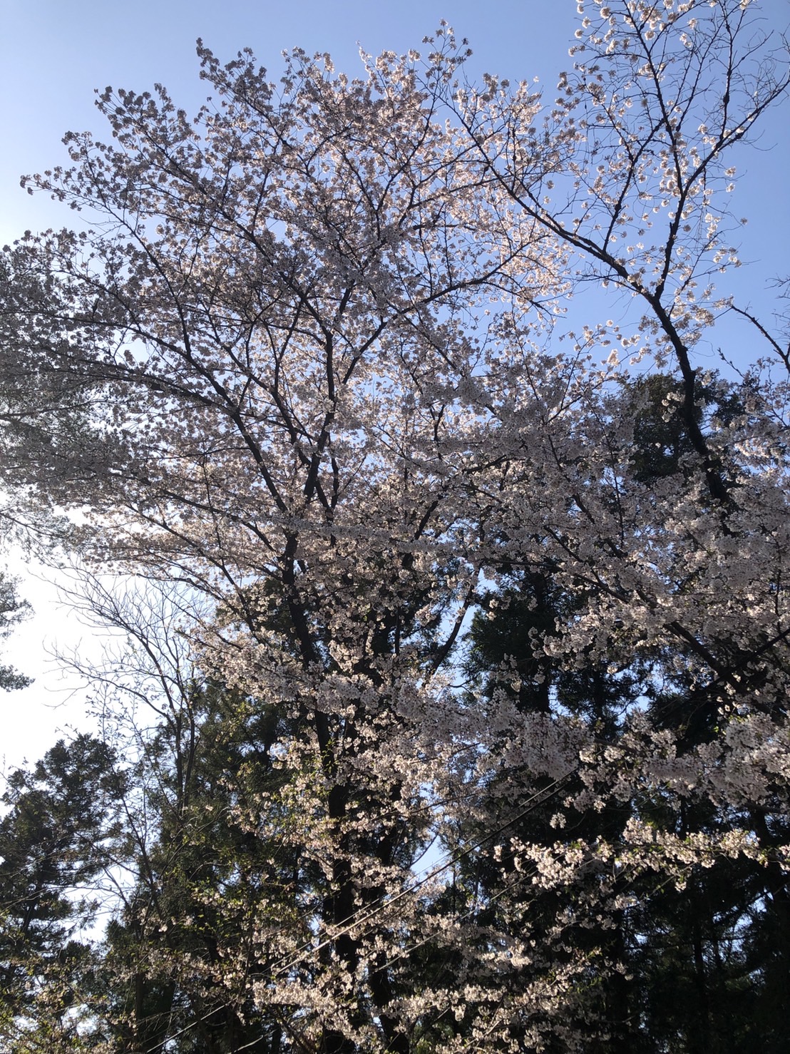 恩田選手ブログ⑤