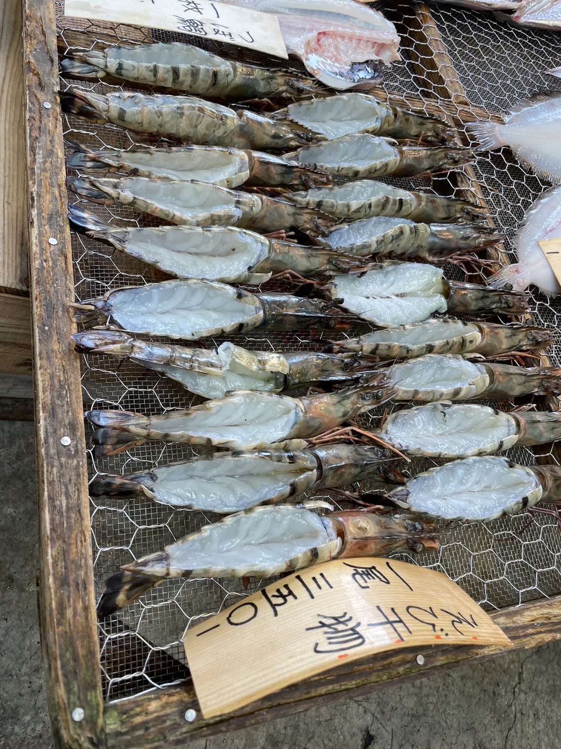 本多優選手ブログ18_2