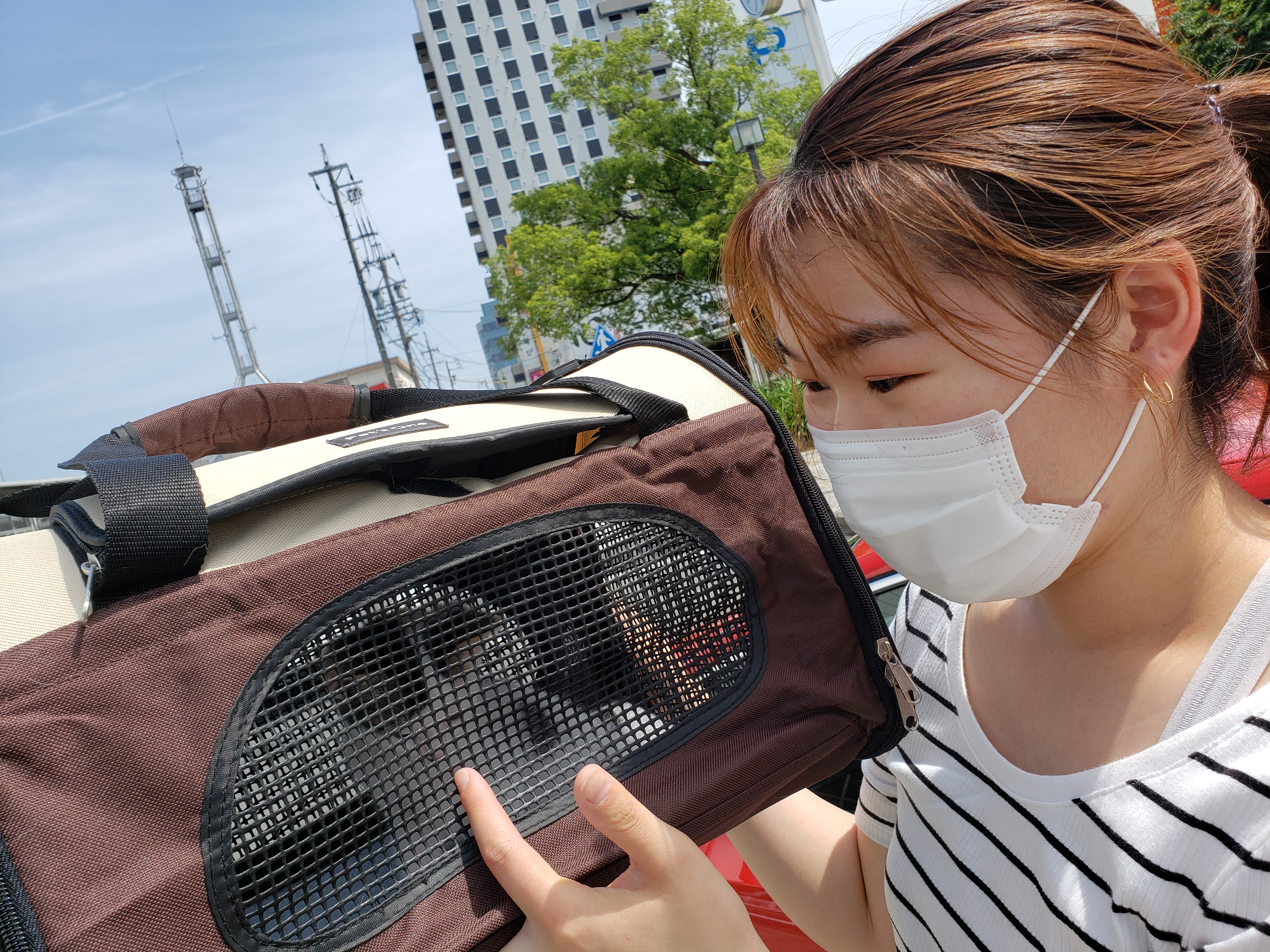 平山信一ブログvol.112_②